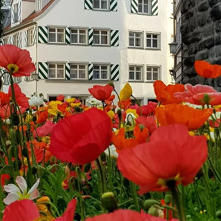 Adoris Auf Der Lindauer Insel *