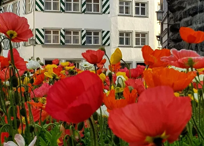 Adoris Auf Der Lindauer Insel *